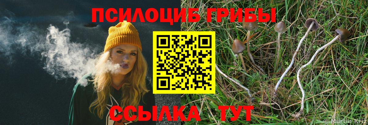 Псилоцибиновые грибы GOLDEN TEACHER  Вход с VPN  купить  сайты  Галлюциногенные грибы мухоморы  Вязники 